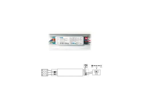 229597_ECOLITE TSV 2